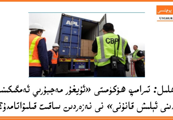 tehlil: tiramp h&ouml;k&uuml;miti &laquo;uyghur mejburiy emgikining aldini &eacute;lish qanuni&raquo; ni nezerdin saqit qiliwatamdu?